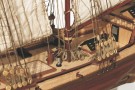 12500 - Albatros thumbnail