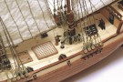 12500 - Albatros thumbnail