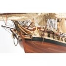 14001 - Diana thumbnail