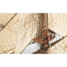 14001 - Diana thumbnail