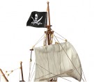 BUCCANEER thumbnail
